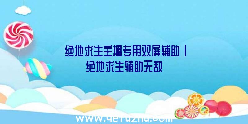 「绝地求生主播专用双屏辅助」|绝地求生辅助无敌